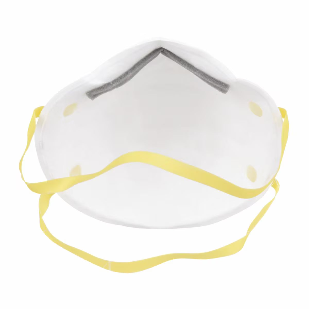 3M 8210 Particulate Respirator N95